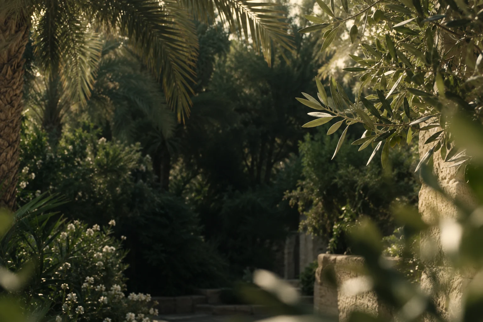 Sunlight filtering through a green garden